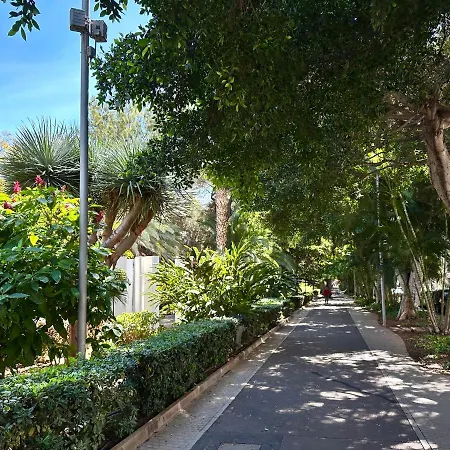 شقة Centrico Y Moderno Junto Al Parque سانتا كروز دي تينيريف